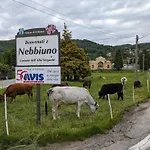 דירה Cav Casa Del Vecchio Faggio - 4 Stelle - Maggiore Nebbiuno